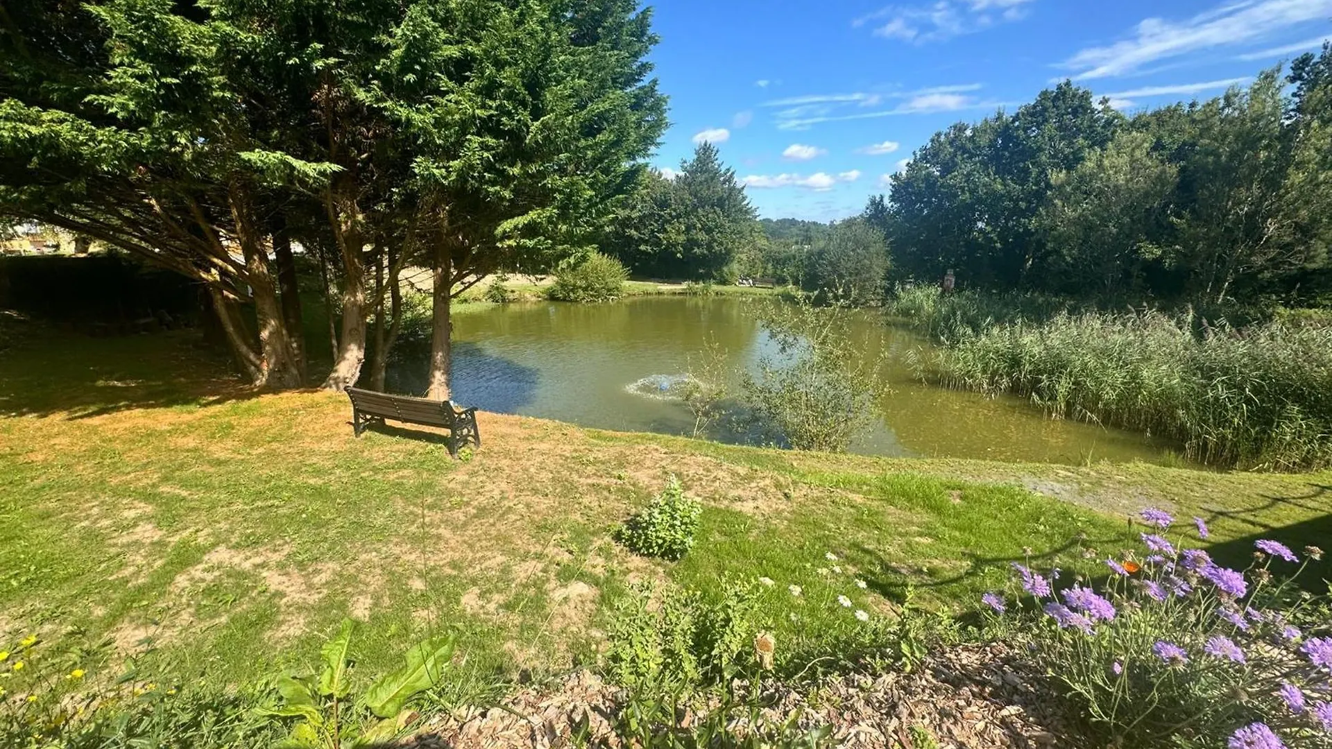 Peaceful Lake Retreat - Fishing Lakes - Swimming Pool 500Yrds - Short Stays Uk 0*, Exeter Velká Británie