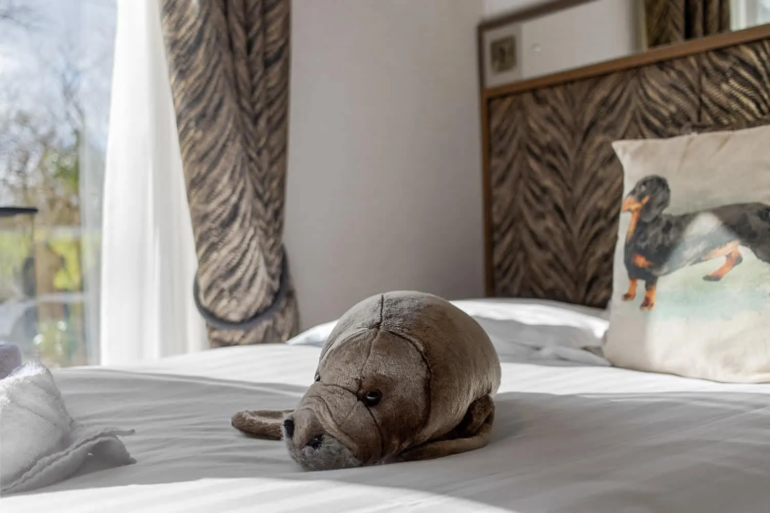 Peaceful Lake Retreat - Fishing Lakes - Swimming Pool 500Yrds - Short Stays Uk Velká Británie